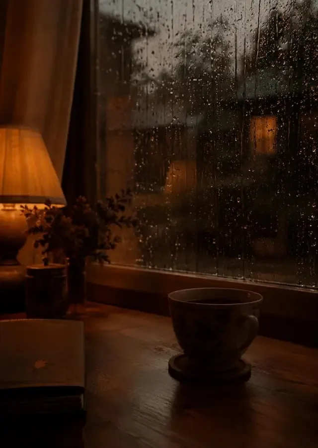 十部适合雨天重看的片子推荐封面｜八戒影视